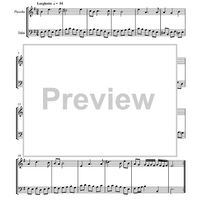 7 Baroque Duets - For Piccolo and Tuba