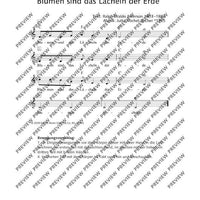 Blumen sind das Lächeln der Erde