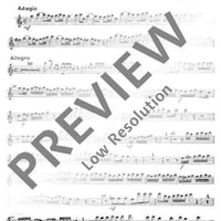 Concerto A minor - Flute I/treble Recorder I