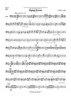 Digital Prisms - Double Bass 5