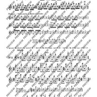 100 Technical Paraphrases on Kreutzer-Etudes