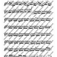 Concertino No. 1 A Minor