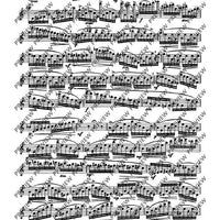 The Flutist's Progress