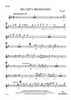Big Clifty Breakdown - Flute