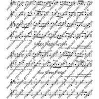 The Irish Flute Book