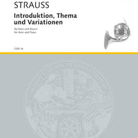 Introduction, Theme and Variations