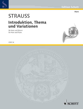 Introduction, Theme and Variations