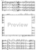 Piccolo divertimento - Score