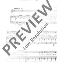 Bundeskanzler Irgendwer