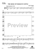 The Siege of Harlech Castle - Tenor Saxophone