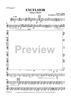 Excelsior - Bb Trumpet 3