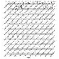 Collected Studies for Player Piano