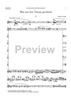 Was mit den Tränen geschieht - Flute/Piccolo
