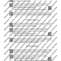 The Flute Expedition