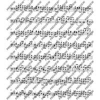 24 Caprices in all keys