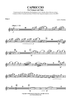 Capriccio - Flute 2