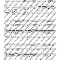 The Arrangements C-Flute(s) with Alto Flute