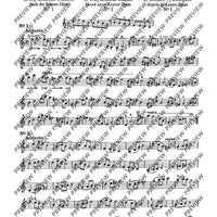 100 Short Technical Paraphrases on Kayser's Etudes