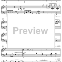 Strolling Along the Boardwalk