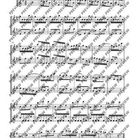 Flute Duets - Performing Score