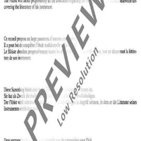 The sound of the flute