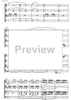 Piccolo divertimento - Score
