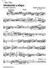 Introducción y allegro - Flute