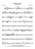 Vista Encanto - Bass Flute