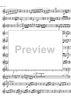 Concertino - Euphonium