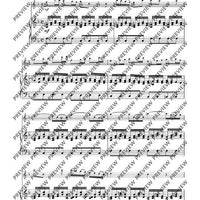 Largo from ”Winter“