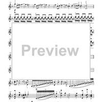 Suzuki Violin School, Volume 6 - Violin Part