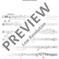 Erstes Concertino - Viola