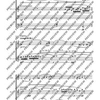 Cadenzas - Performing Score