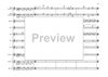 Bass Clarinet Double Concerto - Score
