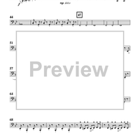 Hot Donut Express - Tuba