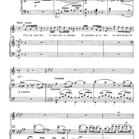 Salut á la France from La Fille du Régiment