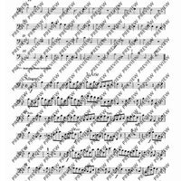 Rinaldo-Suite - Set of Parts