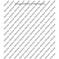 Concerto for Clarinets - Score and Parts