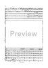 Double Concerto for Recorder and Flute in E minor - Score