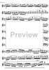 Preliminary studies to 'The Accomplished Clarinettist' Vol. 1 - Clarinet
