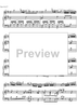 Concerto No. 1 G Major KV313 - Score