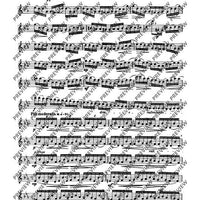 The Flutist's Progress