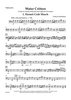 Water Critters - A Suite for String Orchestra and Optional Percussion - Cello