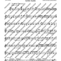 Tambourin - Set of Parts