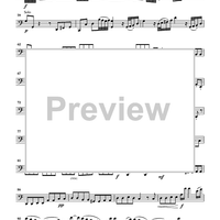 Cello Accompaniments - Volume 3