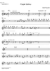 Purple Vishnu - C Instrument