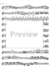 Concerto No. 1 G Major KV313 - Flute