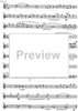 Divertimento Op.69 - Flute