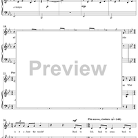 Moments in the Woods