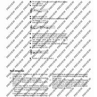 Moderne Blockflötentechnik